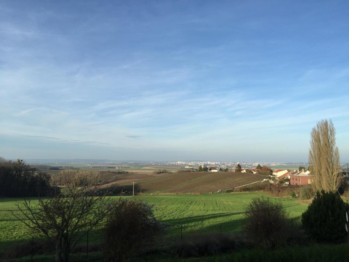 Villa Reims Epernay Champagne Vineyard Villers-Allerand Bagian luar foto