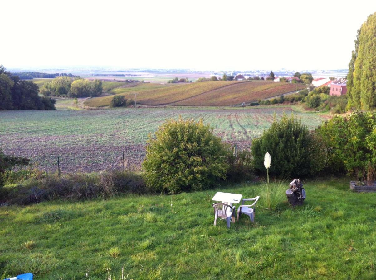 Villa Reims Epernay Champagne Vineyard Villers-Allerand Bagian luar foto